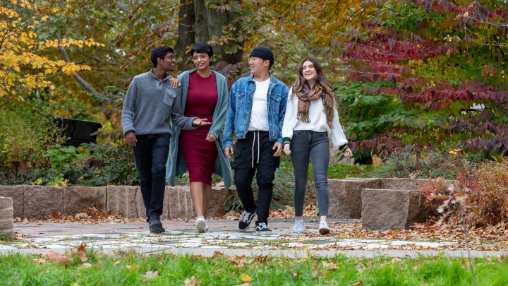 Four students in conversation walking together. They are surrounded by trees that are changing from green to orange, indicating that it is fall.