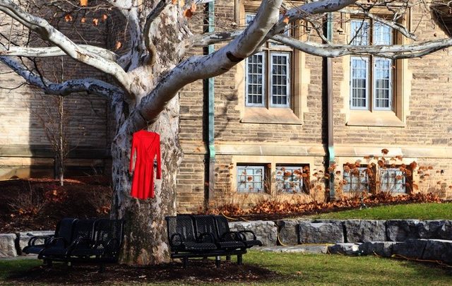 A red dress hanging on a tree branch on McMaster University's campus.