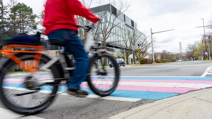 Person riding bicycle across trans flag crosswalk